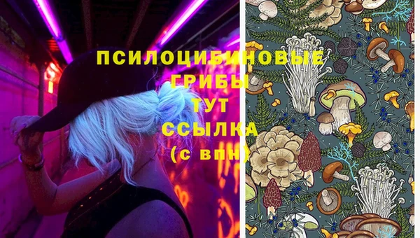 кристаллы Верея