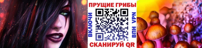 Псилоцибиновые грибы Magic Shrooms Томск