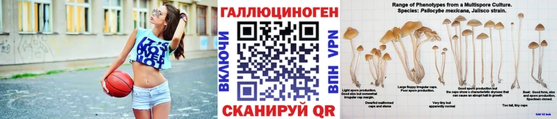 Купить закладки  Томск  Псилоцибиновые грибы Psilocybe 